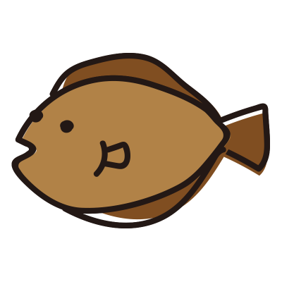 ヒラメ
