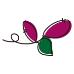 ツルの短いさつまいも