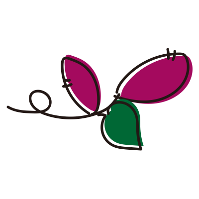 ツルの短いさつまいも