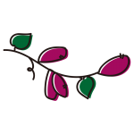 ツルの長いさつまいも