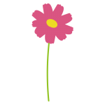 1本のコスモス斜め1