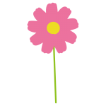 1本のコスモス2