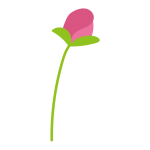 1本のコスモスつぼみ