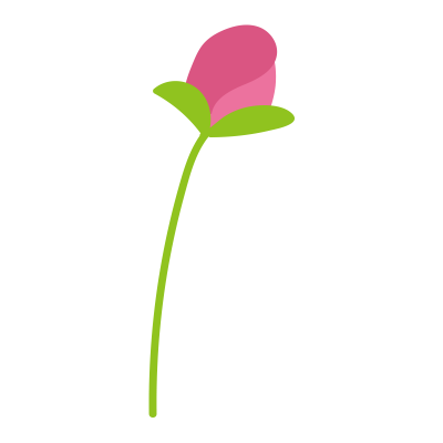 1本のコスモスつぼみ