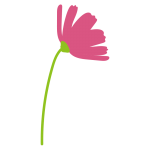 1本のコスモス横向き1