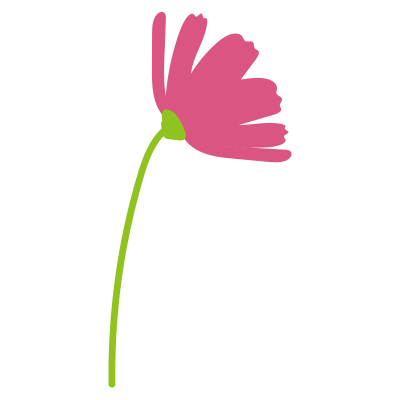 1本のコスモス横向き1