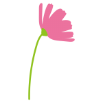 1本のコスモス横向き2