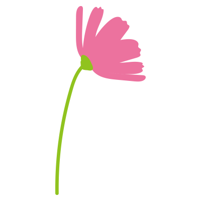 1本のコスモス横向き2