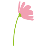 1本のコスモス横向き3