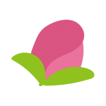 コスモスのつぼみ