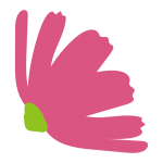 横向きのコスモス1