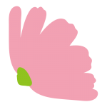 横向きのコスモス3