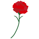 カーネーション2