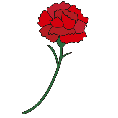 カーネーション3