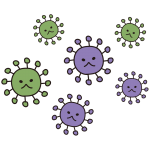 ウイルス