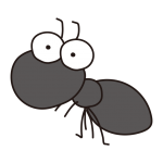 大きなおめめのアリ