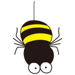 大きなおめめの落ちてくるクモ