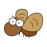 大きなおめめの鈴虫