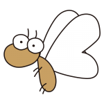 大きなおめめの白い蝶