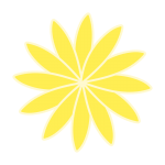 細い花びらの黄色いお花1