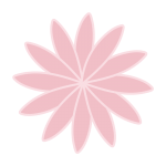 細い花びらのピンクのお花1