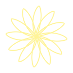 細い花びらの黄色いお花2