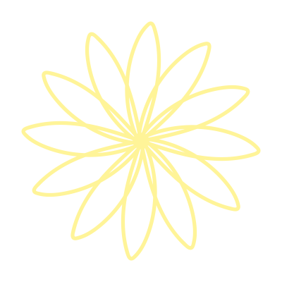 細い花びらの黄色いお花2