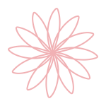 細い花びらのピンクのお花2