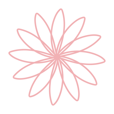 細い花びらのピンクのお花2