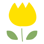 まるくて可愛いチューリップ（黄色）2