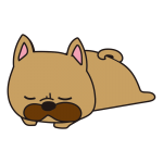 寝ているフレンチブルドッグ（茶）