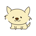 座っているチワワ