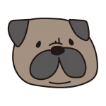 パグの顔