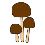 3本のきのこ1