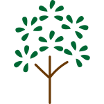 葉っぱがパッとなった木（緑）