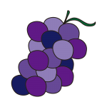 ぶどう1