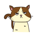 不機嫌な猫（ハチワレ）