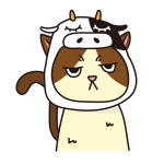 牛のかぶりもので不機嫌な猫（ハチワレ）