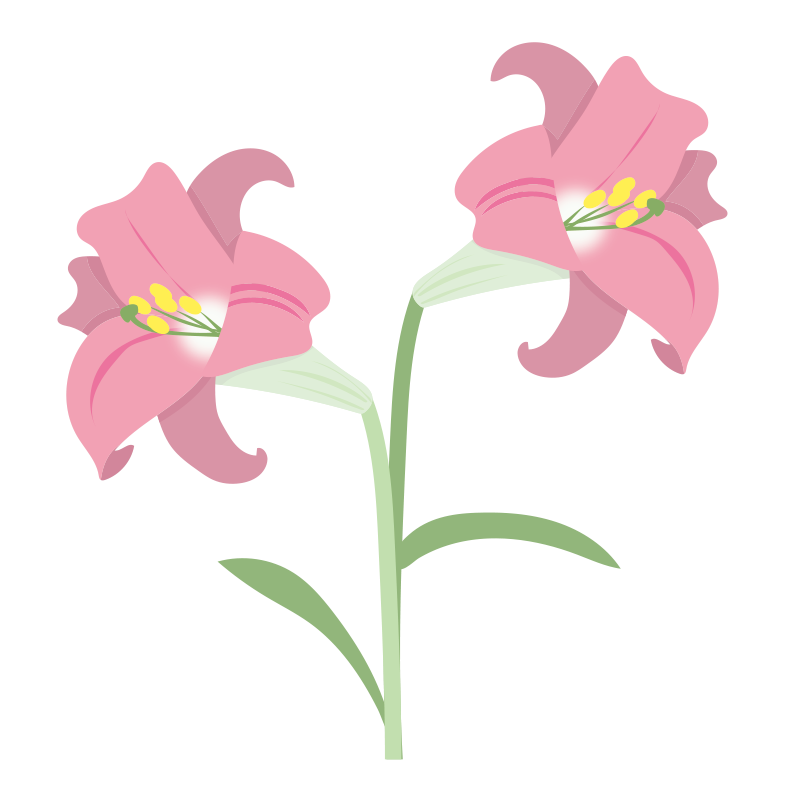 最も選択された フリー画像 花 Png