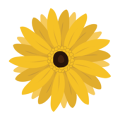 黄色いガーベラの花