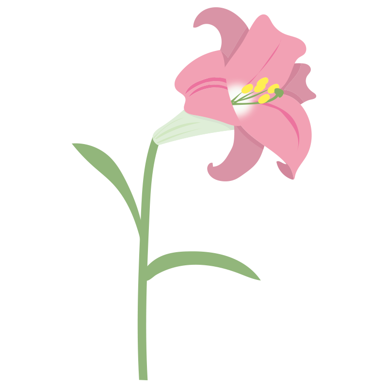 一輪のピンクのユリの花の無料 フリー イラスト てがきっず 可愛い手描きイラスト 保育園 小学校 Pta向けのフリー素材