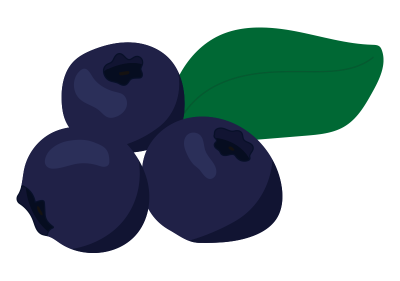 ブルーベリー