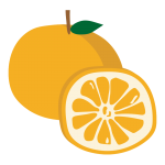 輪切りのみかんとまるごとみかん