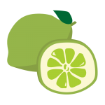 輪切りのライムとまるごとライム