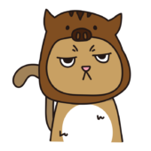 イノシシのかぶりもので不機嫌な猫（茶）