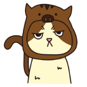 イノシシのかぶりもので不機嫌な猫（ハチワレ）