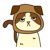 犬のかぶりもので不機嫌な猫（ハチワレ）