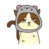 ネズミのかぶりもので不機嫌な猫（ハチワレ）