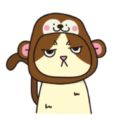 猿のかぶりもので不機嫌な猫（ハチワレ）