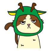 辰のかぶりもので不機嫌な猫（ハチワレ）